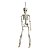 Enfeite Decorativo Halloween - Caveira Amom - 40cm - 1 unidade - Cromus - Rizzo - Imagem 2