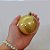 Bola de Natal em Tubo - Perolado Ouro - 7cm - 6 unidades - Cromus - Rizzo - Imagem 1