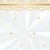 Saco Transparente Decorado - Lulis Ouro - 50 unidades - Cromus - Rizzo - Imagem 1