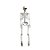 Enfeite Decorativo Halloween - Esqueleto Articulado Xavier - 94cm - 1 unidade - Cromus - Rizzo - Imagem 1