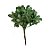 Pick Folhas com Glitter de Natal - Verde - 18cm - 1 unidade - Cromus  - Rizzo - Imagem 1