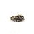 Saco com Mini Lenhas Decorativas - 100g - 1 unidade - Rizzo - Imagem 5
