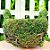 Cesta Quadrada de Musgo Verde/Marrom - 22cm - 1 unidade - Cromus - Rizzo - Imagem 1