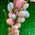 Mini Árvore de Ovos Decorativa de Páscoa - 50cm - 1 unidade - Rizzo - Imagem 4