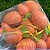 Ovos de Cenouras Listrados Decorativo para Pendurar - 12 unidades - Cromus - Rizzo - Imagem 4
