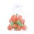 Ovos de Cenouras Decorativo para Pendurar - 12 unidades - Cromus - Rizzo - Imagem 1