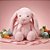 Coelho de Pelúcia com Laço - Rosa - 31cm - 1 unidade - Cromus - Rizzo - Imagem 1