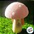 Cogumelo Decorativo - 12cm - Bege/Rosa  - 1 unidade - Cromus - Rizzo - Imagem 4