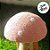 Cogumelo Decorativo - 12cm - Bege/Rosa  - 1 unidade - Cromus - Rizzo - Imagem 3