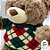 Urso de Pelúcia com Sueter de Lã - Verde - 37cm  - 1 unidade - Rizzo - Imagem 3