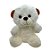 Urso de Pelúcia - Branco - 20 cm - 1 unidade - Rizzo - Imagem 1