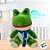 Sapo de Pelúcia com Cachecol - Verde - 20cm - 1 unidade - Rizzo - Imagem 4