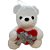 Urso de Pelúcia com Coração Vermelho - Branco - 28cm - 1 unidade - Rizzo - Imagem 1