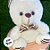Urso de Pelúcia com Laço Listrado - Branco - 20cm - 1 unidade - Rizzo - Imagem 3