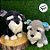Cachorro de Pelúcia Schnauzer - Preto - 20cm - 1 unidade - Rizzo - Imagem 3