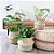 Cesta Decorativa Caubi de Seagrass com Alça - 32x32x27cm - 1 unidade - Rizzo - Imagem 4