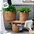 Cesta Decorativa Imares de Seagrass - 25x25x20cm - 1 unidade - Rizzo - Imagem 4