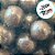 Confeito Perola Chocobala - 60g - 1 unidade - Morello - Rizzo - Imagem 3