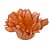 Forminha para Doces Finos - Madri Caramelo - 50 unidades - Decora Doces - Rizzo - Imagem 1