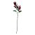 Galho Decorativo - Sementes Vermelhas - 94cm - 1 unidade - Rizzo - Imagem 1