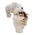 Enfeite de Natal - Urso Branco em Pé de Cachecol - 26x12x13cm - 1 unidade - Rizzo - Imagem 4