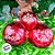 Bola de Natal Glitter - Vermelha - Frases - 10cm - 3 unidades - Rizzo - Imagem 6
