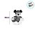 Pelúcia Mickey com Caixa de Presente - 32cm - Disney Original - 1 unidade - Cromus - Rizzo - Imagem 6