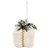 Enfeite de Pendurar de Natal - Presente Pelúcia - 10x8cm - 1 unidade - Rizzo - Imagem 5