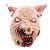 Máscara de Halloween Premium - Porco Macabro - 1 unidade - Cromus - Rizzo - Imagem 1