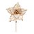 Poinsétia Decorativa - Champagne - 30cm - 1 unidade - Cromus - Rizzo - Imagem 1