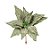 Poinsétia Decorativa - Verde - 30cm - 1 unidade - Cromus - Rizzo - Imagem 1