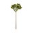 Galho Decorativo - Verde - 35cm - 1 unidade - Cromus - Rizzo - Imagem 1