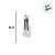 Enfeite Decorativo Halloween - Caveira Lauren - 90cm - 1 unidade - Cromus - Rizzo - Imagem 3