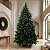 Árvore de Natal Modelo Coentro - 9576 Galhos - 5,0m - Ref. RZO385 - 1 unidade - Rizzo - Imagem 1