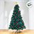 Árvore de Natal Modelo Tomilho - 8479 Galhos - 5,0m - Ref. RZO349 - 1 unidade - Rizzo - Imagem 9