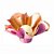 Forminha para Doces Finos - Cheri - Seda Rose Gold Metalizado - 50 unidades - Maxiformas - Rizzo - Imagem 1