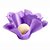 Forminha para Doces Finos - Cheri - Lilas - 50 unidades - Maxiformas - Rizzo - Imagem 1