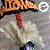 Enfeite Decorativo Halloween - Vassoura Laranja - 1 unidade - Rizzo - Imagem 4