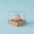 Caixa Mini Bolo M (7cm x 7cm x 7cm) Kraft - 10 unidades - Assk - Rizzo Confeitaria - Imagem 1
