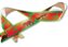 Fita de Cetim Decorada Verde Dinossauros 22mm ECF005TR Cor 028 - 10 metros - Progresso - Rizzo Embalagens - Imagem 1