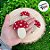 Prendedor Decorativo - Cogumelo Vermelho - 7,5cm - 3 unidades - Cromus - Rizzo - Imagem 4