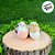 Enfeite para Pendurar - Pintinho Marrom com Ovo Branco - 8cm - 1 unidade - Cromus - Rizzo - Imagem 2