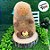 Capivara de Pelúcia Marrom com Pintinho - 29cm - 1 unidade - Rizzo - Imagem 2