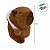 Chaveiro de Pelúcia - Capivara com Mochila Rosa - 13cm - 1 unidade - Rizzo - Imagem 5