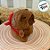 Chaveiro de Pelúcia - Capivara com Mochila Vermelha - 13cm - 1 unidade - Rizzo - Imagem 1