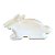 Bandeja Decorativa de Páscoa - Coelho Branco - 24cm - 1 unidade - Só Boleiras - Rizzo - Imagem 6