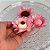 Forminha para Doces Finos - Madri Pessego - 30 unidades - Decora Doces - Rizzo - Imagem 3