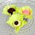 Forminha para Doces Finos - Madri Amarelo Claro - 30 unidades - Decora Doces - Rizzo - Imagem 1