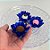 Forminha para Doces Finos - Madri Azul Royal - 30 unidades - Decora Doces - Rizzo - Imagem 3