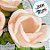 Forminha para Doces Finos - Rainha Cor Rosa Bebe - 30 unidades - Decora Doces - Rizzo - Imagem 2